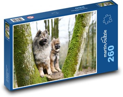 Eurasian dog - Puzzle 260 pieces, size 41x28.7 cm 