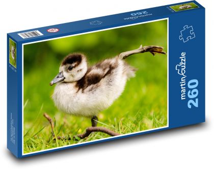 Gęś nilowa - Puzzle 260 elementów, rozmiar 41x28,7 cm