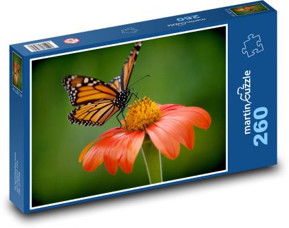 Motyl na kwiatku - Puzzle 260 elementów, rozmiar 41x28,7 cm