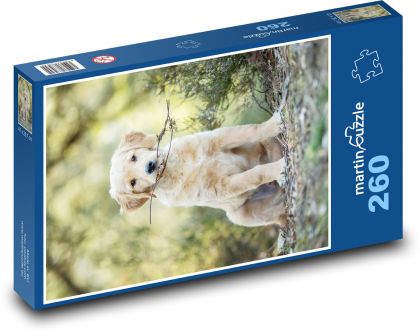 Retriever - štěně - Puzzle 260 dílků, rozměr 41x28,7 cm
