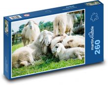 Schaf Puzzle 260 Teile - 41 x28,7 cm
