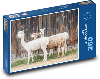 Alpaca - Puzzle 260 pieces, size 41x28.7 cm 