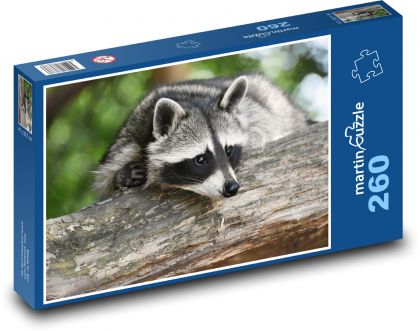 Waschbär - Puzzle - 260 Teile