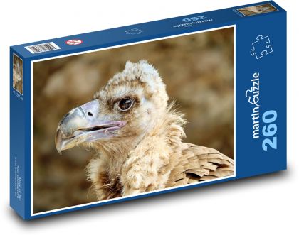 Black vulture - Puzzle 260 pieces, size 41x28.7 cm 