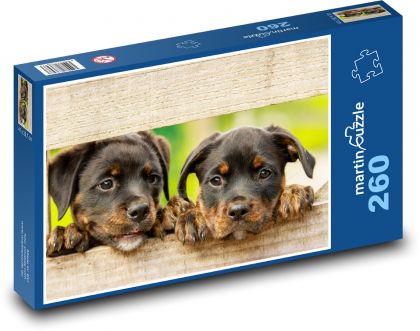 Szczeniaki - Psy - Puzzle 260 elementów, rozmiar 41x28,7 cm