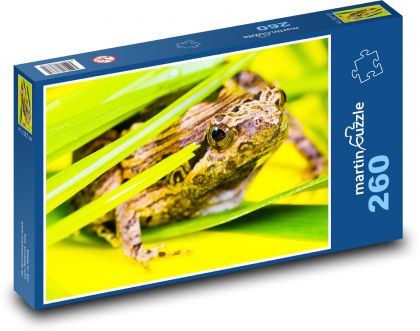 Żaba - Zworka - Puzzle 260 elementów, rozmiar 41x28,7 cm