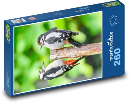 Strakapoud the Great - Puzzle 260 pieces, size 41x28.7 cm 