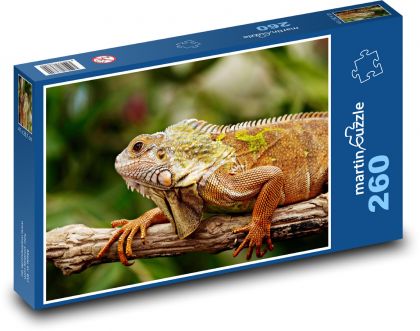 Leguán - plaz - Puzzle 260 dielikov, rozmer 41x28,7 cm