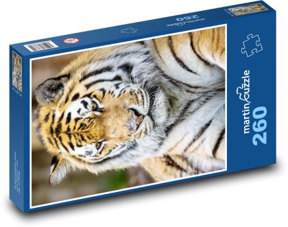 Der Tiger - Puzzle - 260 Teile