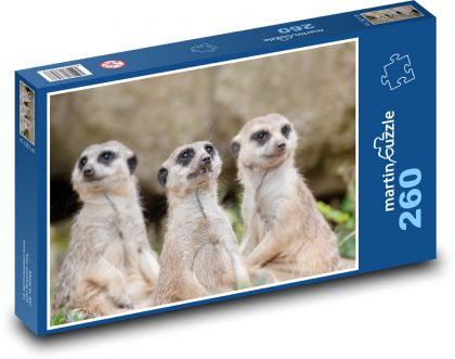 Erdmännchen - Puzzle - 260 Teile