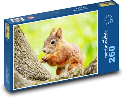 Veverka - puzzle 260 dílků