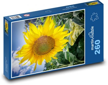 Blooming sunflower - Puzzle 260 pieces, size 41x28.7 cm 