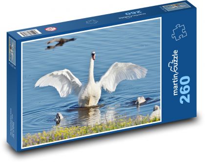 Labuť na rybníku - Puzzle 260 dielikov, rozmer 41x28,7 cm
