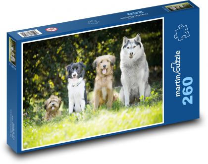 Hounds - Puzzle 260 pieces, size 41x28.7 cm 