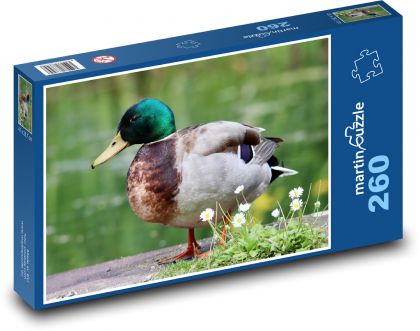 Eine Ente. - Puzzle - 260 Teile
