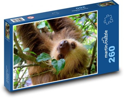 Baumfaultier - Puzzle - 260 Teile