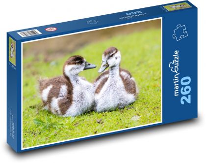 Divoké husy - puzzle 260 dílků
