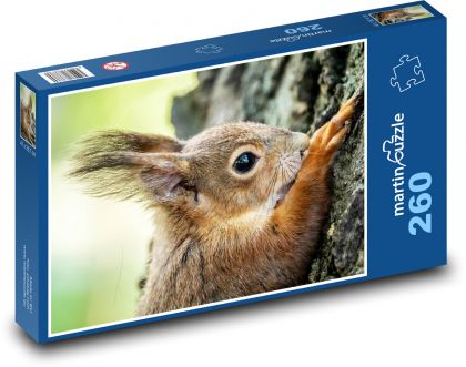 Veverka - puzzle 260 dílků