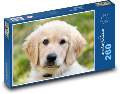 Labrador - šteniatko - Puzzle 260 dielikov, rozmer 41x28,7 cm
