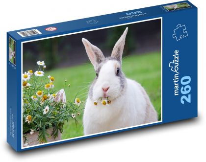 Králik a sedmokrásky - Puzzle 260 dielikov, rozmer 41x28,7 cm