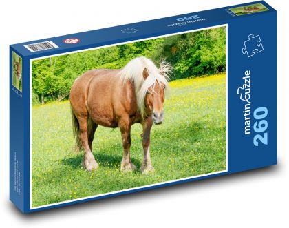 Horse in the pasture - Puzzle 260 pieces, size 41x28.7 cm 