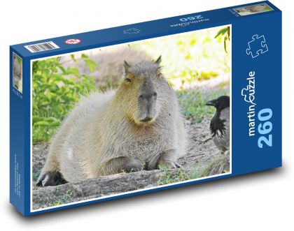 Capybara - Puzzle 260 pieces, size 41x28.7 cm 