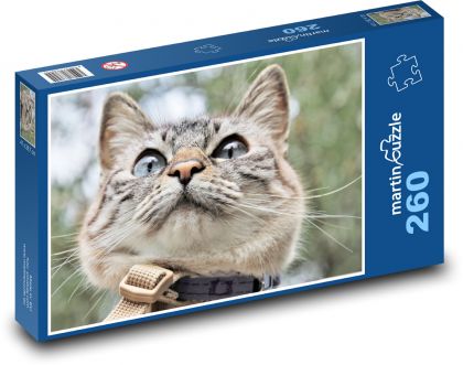 Šedá kočka - puzzle 260 dílků