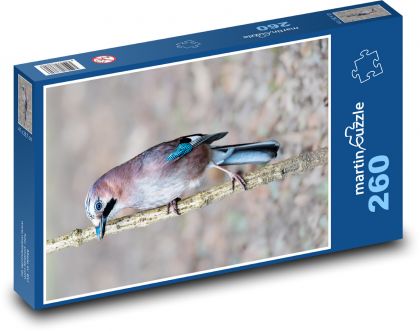 Vogel - Jay - Puzzle - 260 Teile