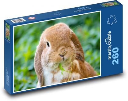 Domestic Rabbit - Puzzle 260 pieces, size 41x28.7 cm 