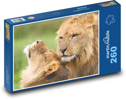 Lion and lioness - Puzzle 260 pieces, size 41x28.7 cm 
