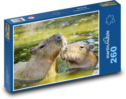 Capybara - Puzzle 260 pieces, size 41x28.7 cm 
