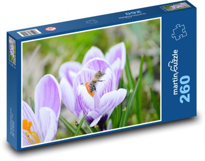 Krokusy - pszczoła - Puzzle 260 elementów, rozmiar 41x28,7 cm