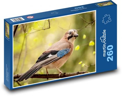 Sojka - puzzle 260 dílků