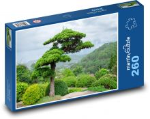 Bonsai - drzewo, sosna Puzzle 260 elementów - 41x28,7 cm