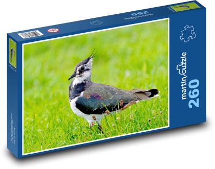 Kiebitz - Vogel - Puzzle - 260 Teile