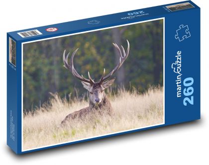 Jeleń - poroże - Puzzle 260 elementów, rozmiar 41x28,7 cm