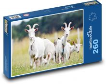 Kozy Puzzle 260 - 41x28,7 cm