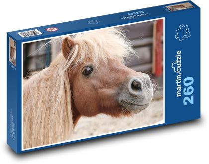 Kucyk - Puzzle 260 elementów, rozmiar 41x28,7 cm