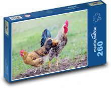 Hahn und Hühner Puzzle 260 Teile - 41 x28,7 cm