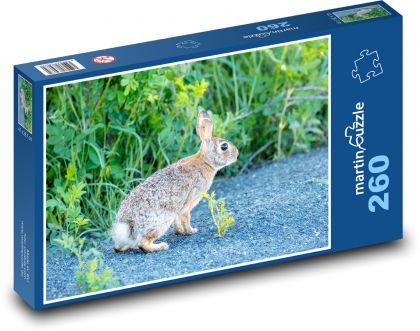 Zajac. - Puzzle 260 dielikov, rozmer 41x28,7 cm