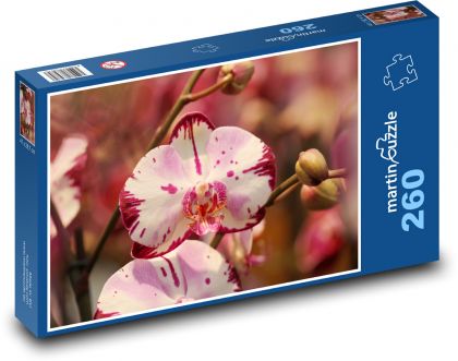Květy orchideje - puzzle 260 dílků