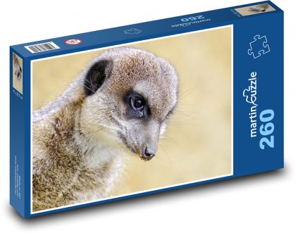 Meerkat - Puzzle 260 pieces, size 41x28.7 cm 