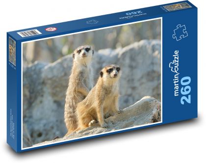 Surikaty na skale - Puzzle 260 dielikov, rozmer 41x28,7 cm