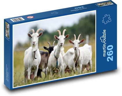 Herd of goats - Puzzle 260 pieces, size 41x28.7 cm 