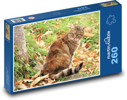 Mačka v záhrade - Puzzle 260 dielikov, rozmer 41x28,7 cm