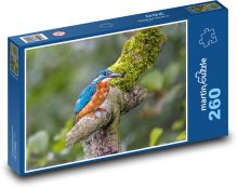 Kingfisher Puzzle 260 pieces - 41 x 28.7 cm 