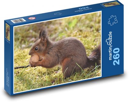 Veverička - hlodavec - Puzzle 260 dielikov, rozmer 41x28,7 cm