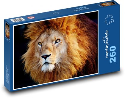 Lion with a big mane - Puzzle 260 pieces, size 41x28.7 cm 