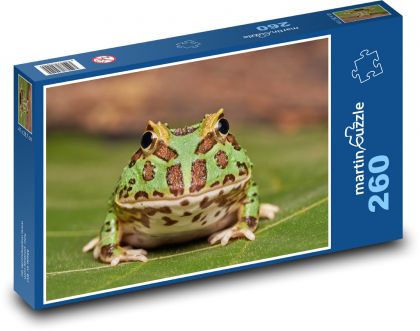 Żaba - płaz - Puzzle 260 elementów, rozmiar 41x28,7 cm
