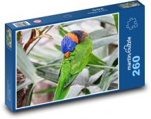 Tęczowa papuga Puzzle 260 elementów - 41x28,7 cm